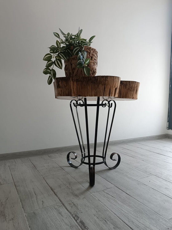 Image 1 of Timber Reverie – Lo spirito dell'antica acacia