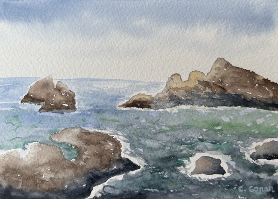Image 1 of Watercolor "Wild Coast"