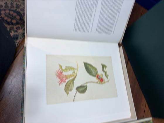 Image 1 of Maria Sibylla Merian – Leningrader Aquarelle (1974) | Limitierte Auflage, beschränkte Auflage