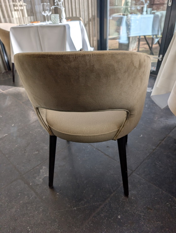 Image 1 of Satellite dining chairs