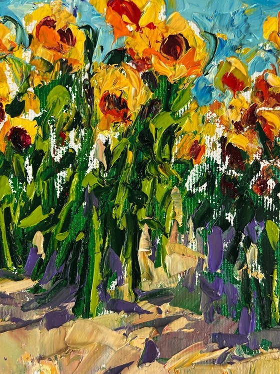 Image 1 of Sunflowers Grow in the Field