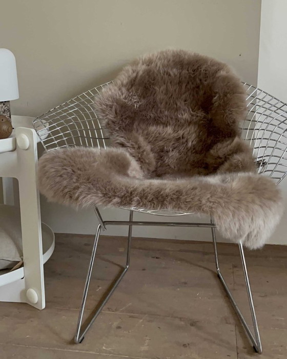 Image 1 of Fauteuil Diamond modèle 421, Harry Bertoia,