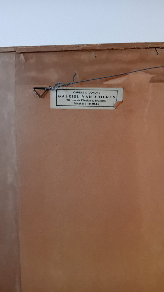 Image 1 of John Gould, Pséfoto Pulcherrimus