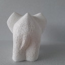 Orhan Otay's baby elephant