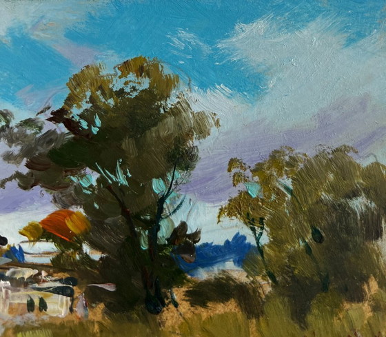 Image 1 of Origineel olieverfschilderij: Landschap met zomerhuis en wilde bloemen in de buurt van het huis.