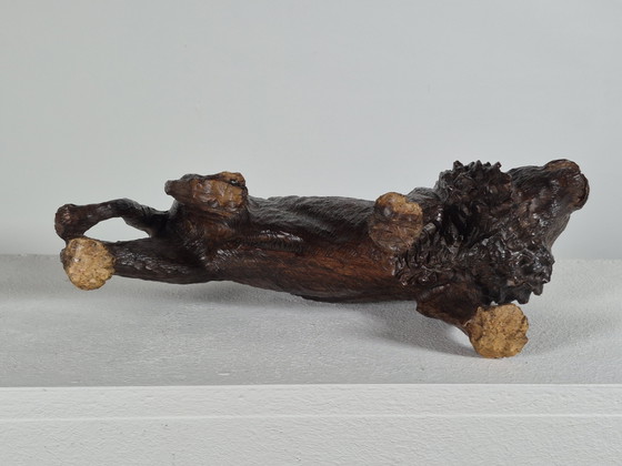 Antieke handgesneden Afrikaanse hardhouten sculptuur, dierenbeeldje: leeuw – Beeldhouwkunst, Wood (photo 12 of 15)