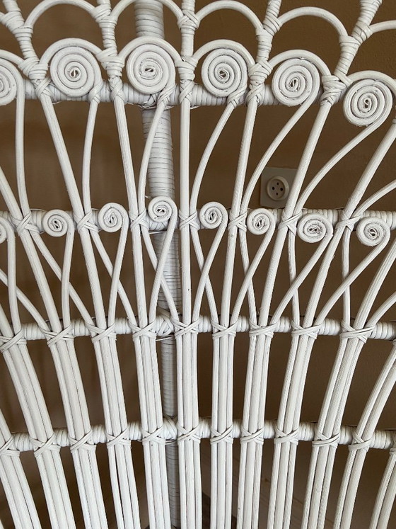 Image 1 of Peacock chair
