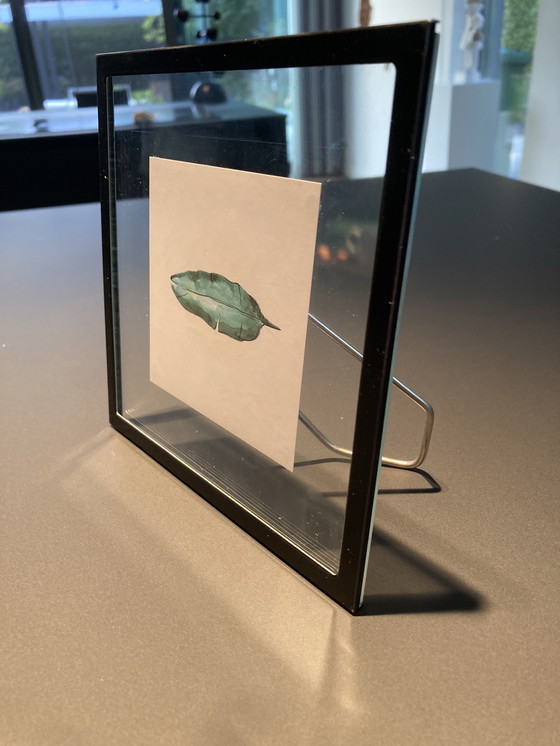 Image 1 of Picture frame with illustration of teal feather