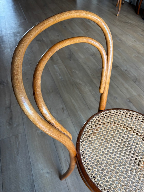 Sedie da bistrò in legno Josef Hofmann 2 pz. – Sedie da pranzo (photo 8 of 11)