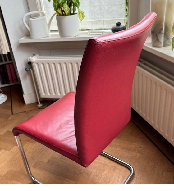 Sei Sedie da pranzo Hülsta, pelle rossa, Cromo, Rosso, Modern (foto 5 di 9)
