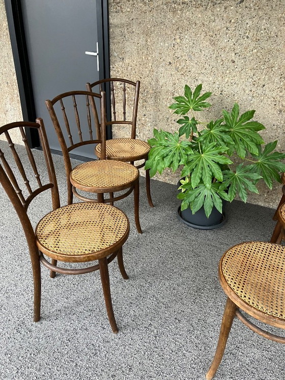 Image 1 of 6 Thonet-Stühle, frühes 20. Jahrhundert