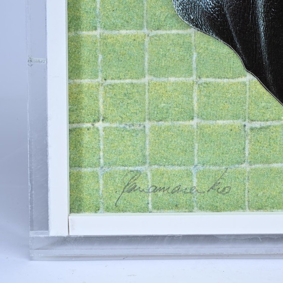 Image 1 of Zapatos magnéticos Panamarenko