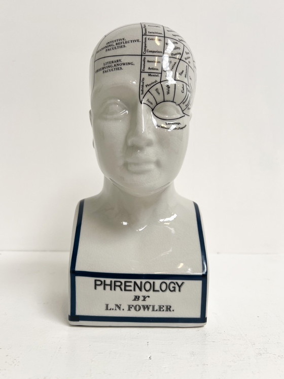 Image 1 of Testa frenologica in ceramica alta 30 cm, anni '90
