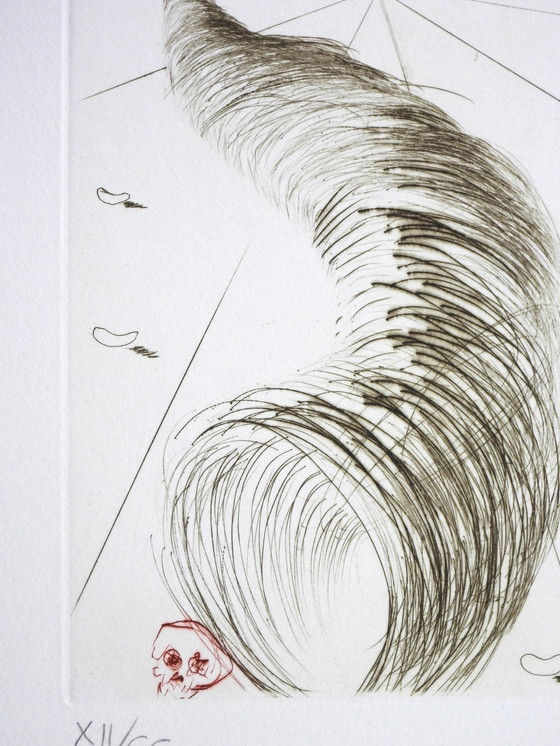 Image 1 of Salvador Dali (1904-1989) - Timon Of Athens