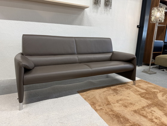 Leolux Felizia Canapé 3 places Senso Noyer – Canapés 3 places, Leather (photo 3 of 8)