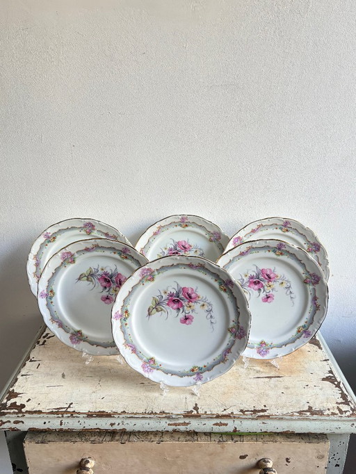 6x Limonges Essteller