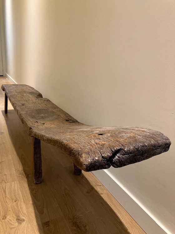Antique Brutalist Bench / Wabi-Sabi Log Bench – 237 Cm – Benches, Wood (photo 3 of 5)