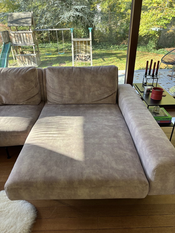 Image 1 of Loungers Everywhere Zico