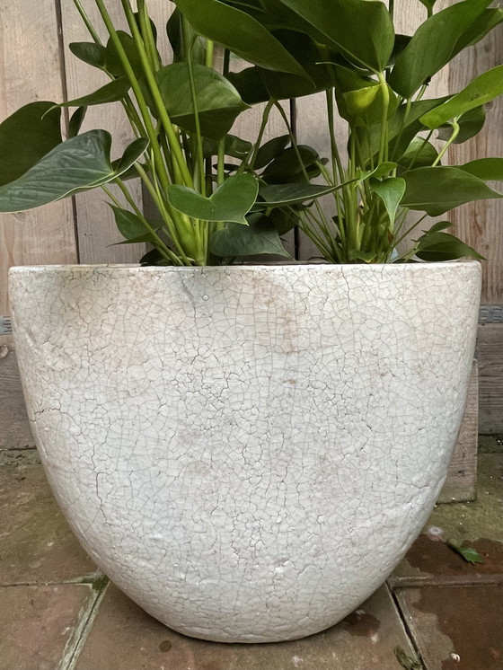 Image 1 of 2 neue Brynxz-Töpfe, cremefarben