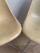 2 sillas laterales Eames Miller DSR de fibra de vidrio – color pergamino oscuro