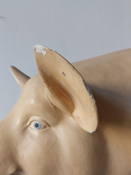 Image 1 of Modèle anatomique ancien de porc à visée pédagogique, Louis Meusel, Sonneberg