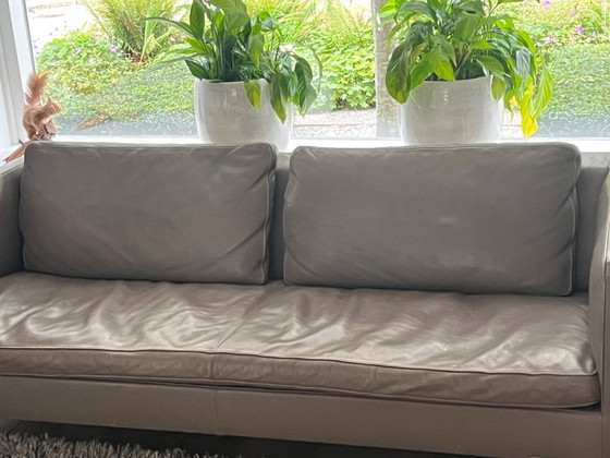 Image 1 of Molinari Modelo Aspen, Color Hígado 2017