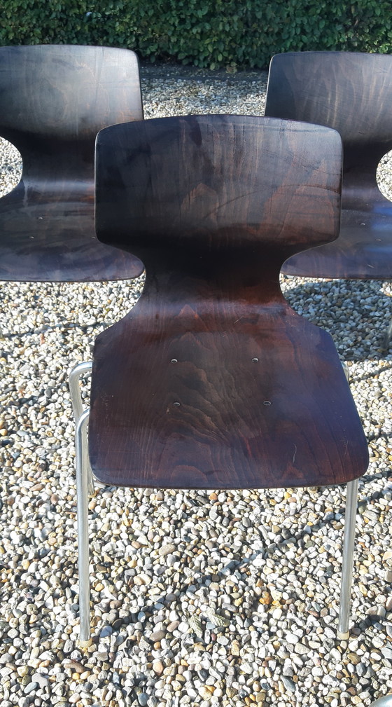 Image 1 of Set Flötotto Pagholz eetkamerstoelen   palisander 