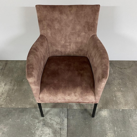 Image 1 of Set di 4 camaleonti