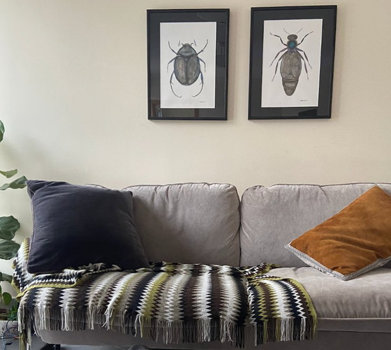 Image 1 of Canapé 3 places SITS Fiona – Velours Malibu (Beige)