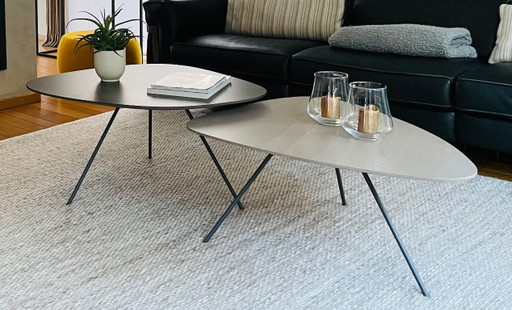 Leolux Couchtische, zwei Stück, grau und beige