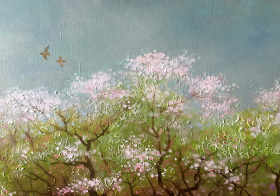 Image 1 of Spring Gardens