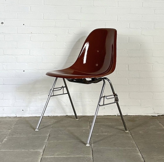 Image 1 of Conjunto de 9 sillas DSS, Charles & Ray Eames para Herman Miller
