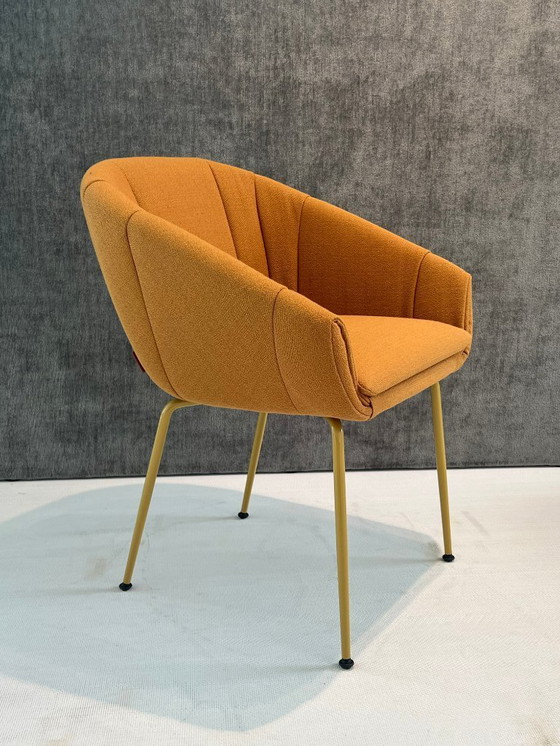 Image 1 of MONTIS Luna M0135