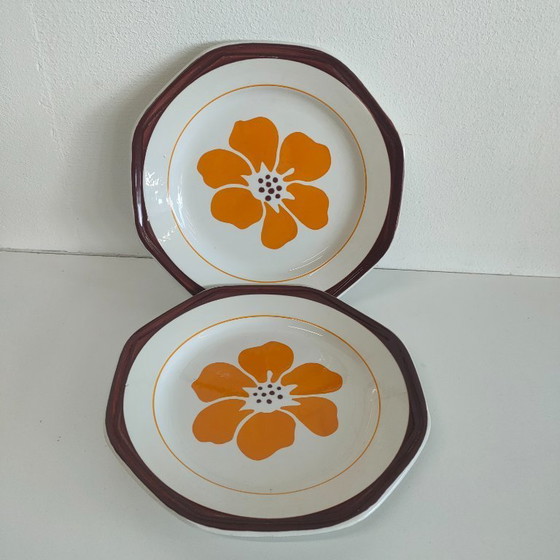 Image 1 of Set of 6 Vintage plates by Giovanni Valdarno for Ironstone