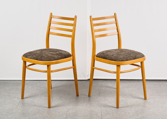 Set di 4 Sedie da pranzo, di TON, anni '60, Cecoslovacchia – Tessile, Legno (photo 5 of 20)
