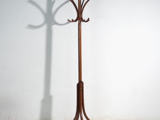 Bentwood Coat Stand in Beechwood – Austria-Hungary, Thonet Style, Circa 1900 – Coat racks, Metal (photo 2 of 36)