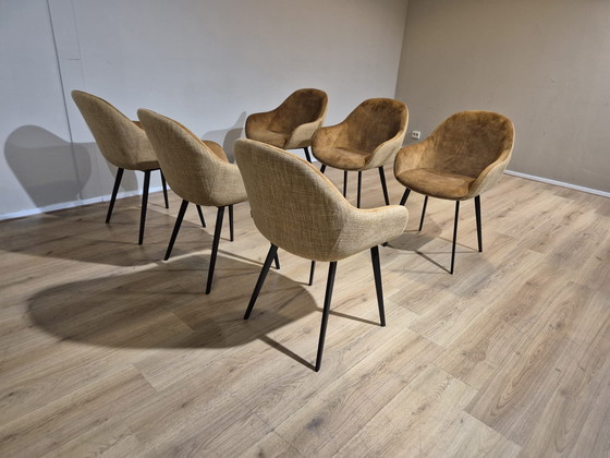 Image 1 of 6 Chaises Montel Nora - Salle à manger - Ocre - Cognac - Design