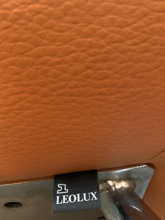 Image 1 of 4 x Leolux dining chairs