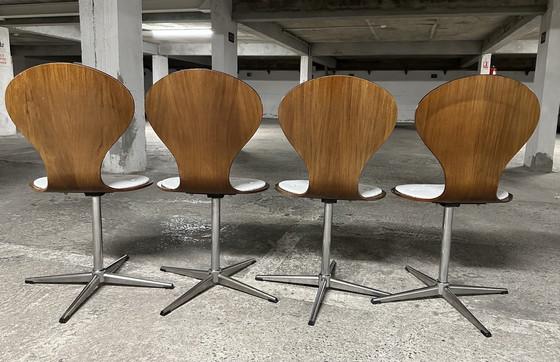 Image 1 of Ensemble de 4 chaises vintage en bois courbé et placage de bois de rose par Elmar Flötotto, Allemagne 1960