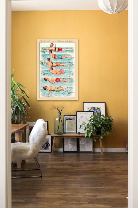 Image 1 of Onderricht in buik- en rugslagzwemmen - 1899 - Affiche