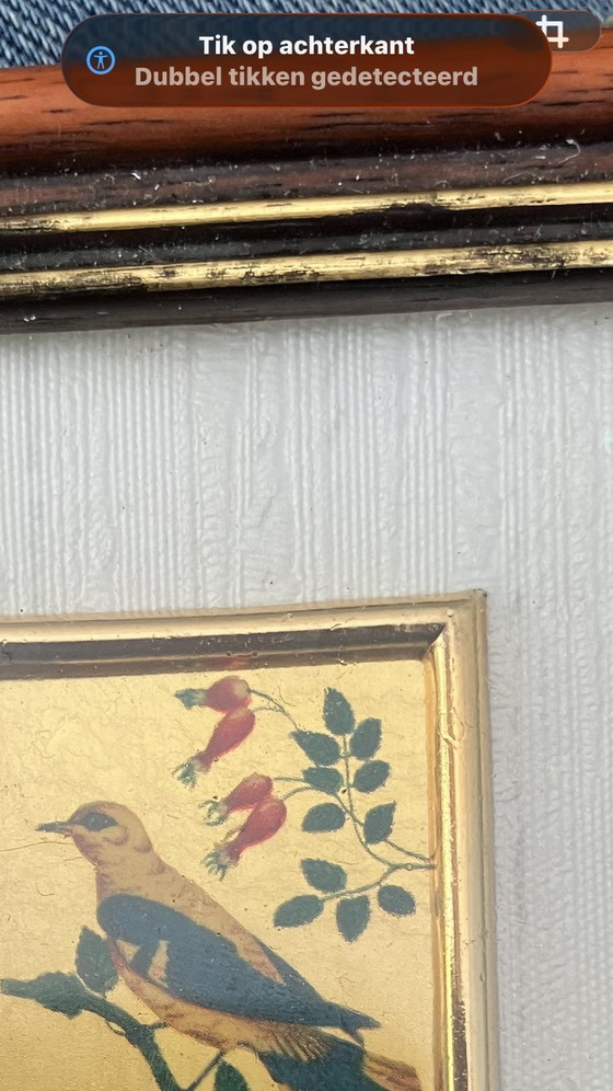 Image 1 of Wunderschöne persische Miniatur auf 23-karätigem Blattgold – Vogelmotiv – mit Zertifikat