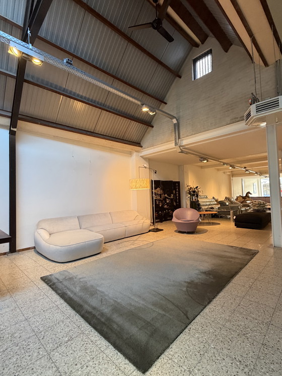 Image 1 of Brink and Campman Longbarn Ripe Mix Carpet