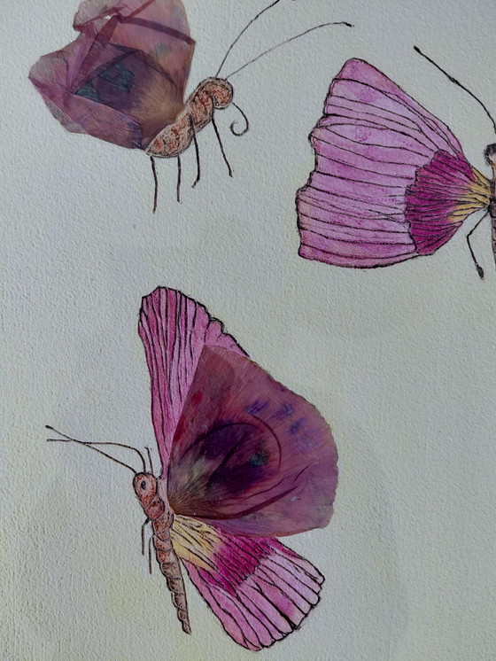 Image 1 of “Butterflies in the Air” Gallery Suncorner