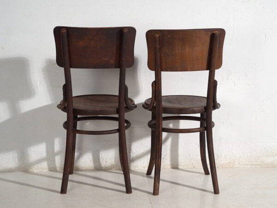 Pair of Thonet style bentwood chairs with curved board back – Central Europe, circa 1920 – Dining chairs (photo 32 of 40)
