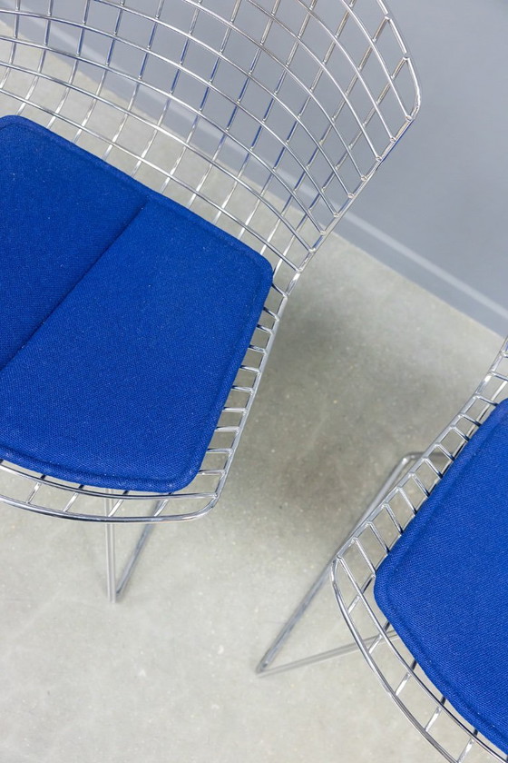 Image 1 of Sedia laterale Bertoia, 4x