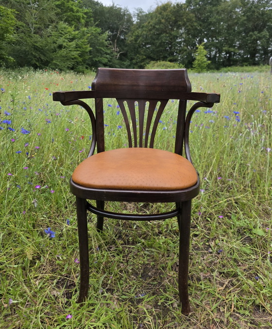 Image 1 of Chaise de café Satellite de style Thonet avec structure en autruche