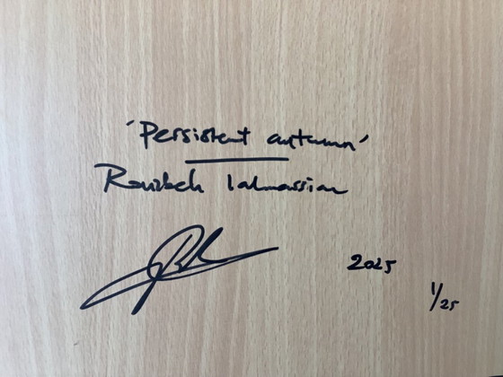 Image 1 of Art photo Rouzbeh Tahmassian