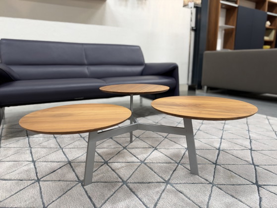 Leolux Ninfea Coffee table walnut houf, Wood, Multi Color (photo 6 of 14)