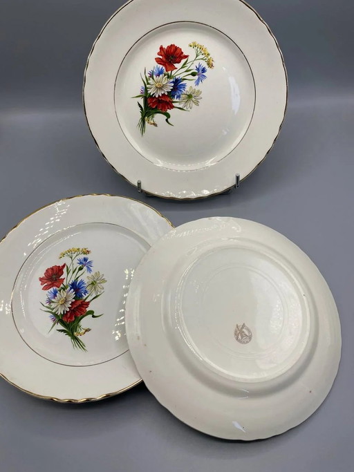 6 piatti piani Orchies Moulin des Loups, decoro con fiori di campo, maiolica francese vintage (photo 2 of 5)