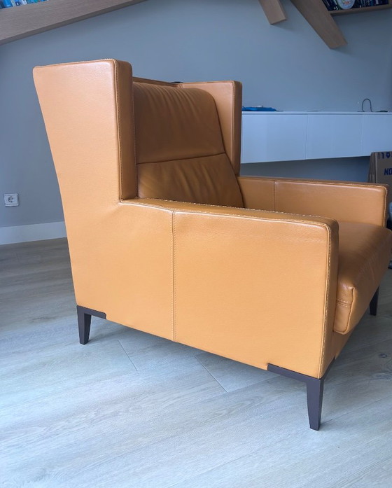 Cognac-colored leather armchair, Wood, Brown, Modern (photo 4 of 5)